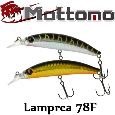 Mottomo Lamprea 78F