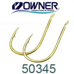 Owner 50345 Chinu