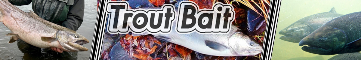 Trout Bait Avacha 55 гр.