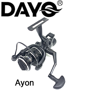 Dayo Ayon