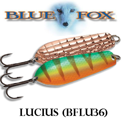Lucius BFLU36