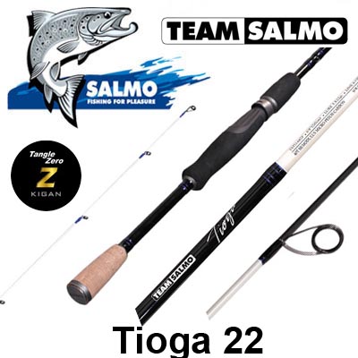 Team Salmo Tioga 22