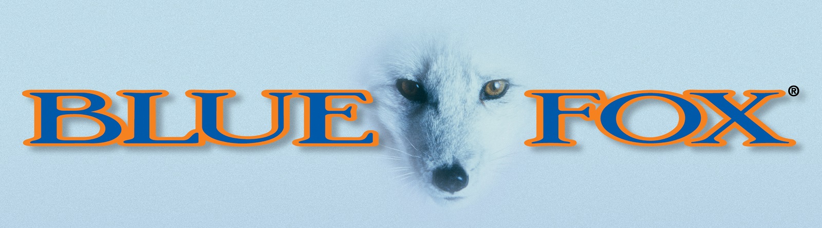 Blue Fox