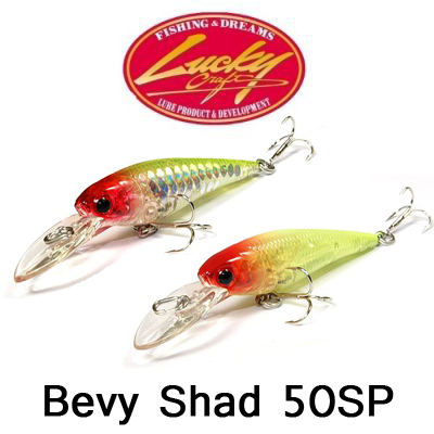 Lucky Craft Bevy Shad 50SP