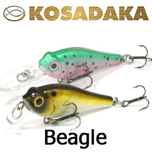 Kosadaka Beagle