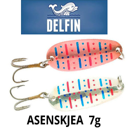Delfin Åsenskjea 7g