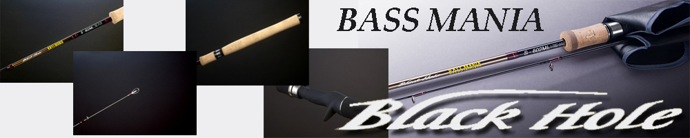 Black Hole Bass Mania