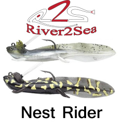 River2Sea