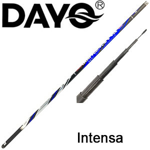 Dayo Intensa