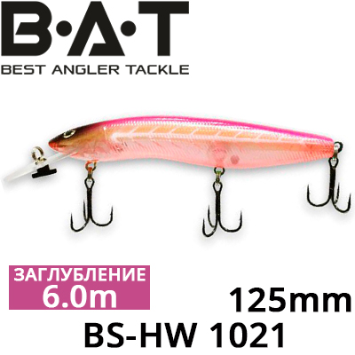 BAT BS-HW 1021