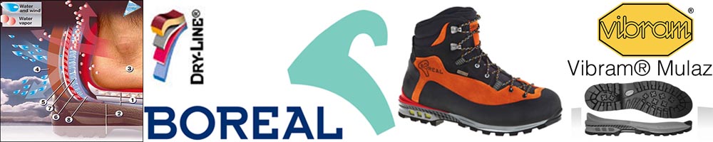 Boreal Brenta