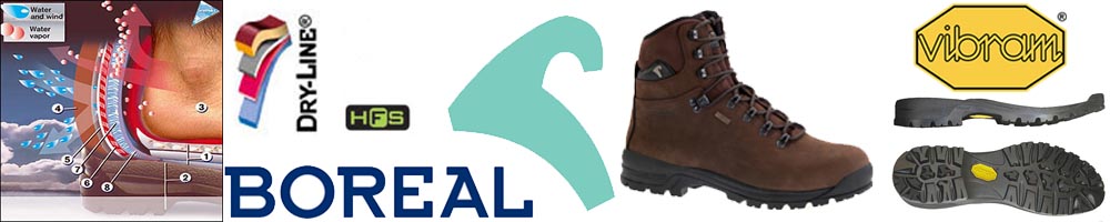 Boreal Muflon