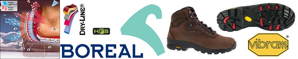 Boreal Pointer