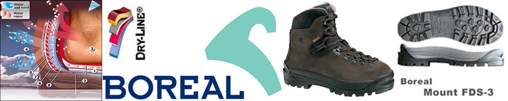 Boreal Asan Green