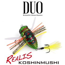 DUO Realis Koshinmushi