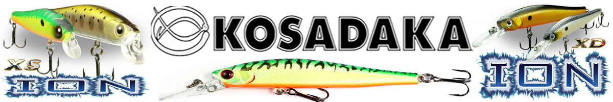 Kosadaka Ion