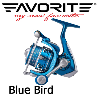 Favorite Blue Bird