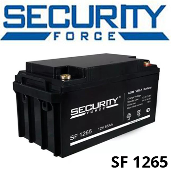 Security Force SF 1265