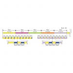Плетеный шнур Varivas High Grade PE x4 Marking TYPE II 150m #1.0