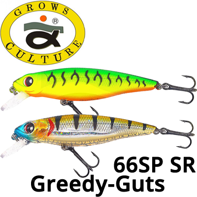 Grows Culture Greedy-Guts 66SP SR