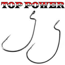 Top Power
