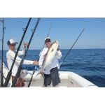 Катушка Blue Marlin BMС80 Casting Reels