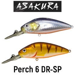 Asakura Perch 6 DR-SP