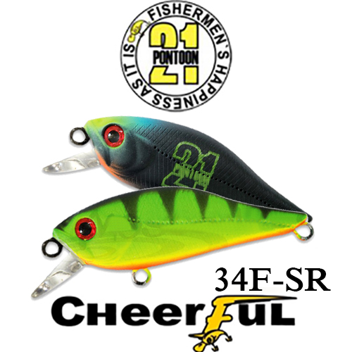Pontoon21 Cheerful 34F-SR