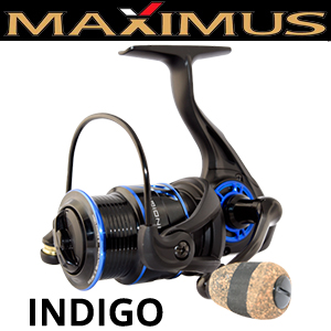 Maximus Indigo