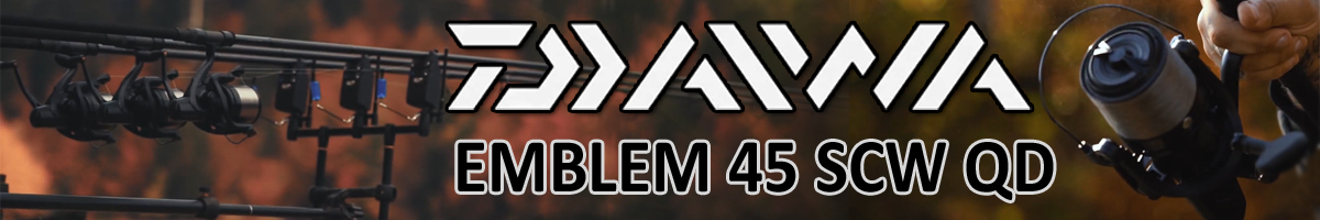 Daiwa 19 Emblem 45 SCW QD