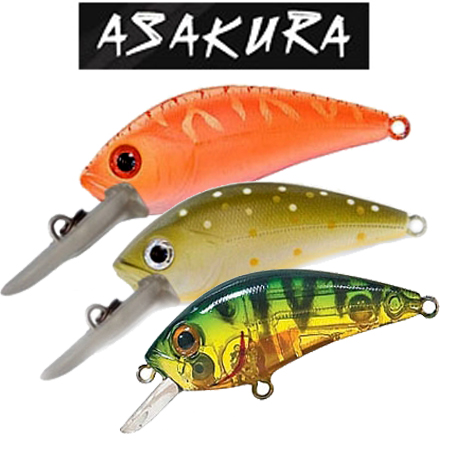 Asakura