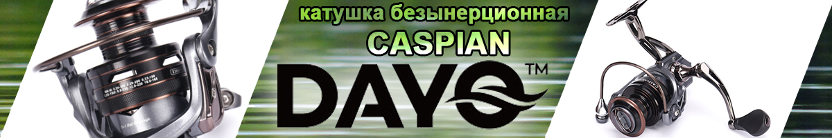 Dayo Caspian