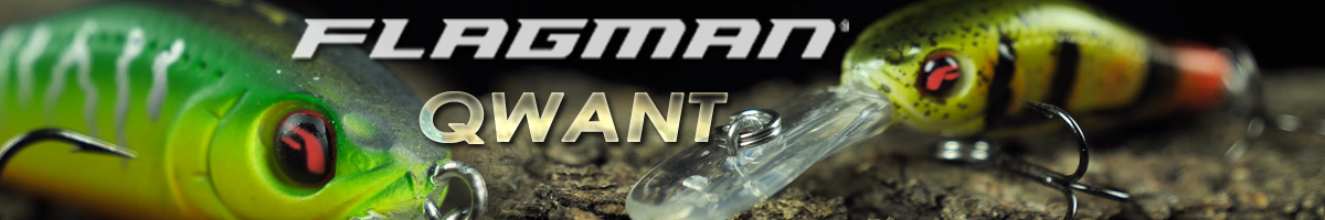 Flagman Qwant 35S-D