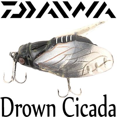 Daiwa Drown Cicada