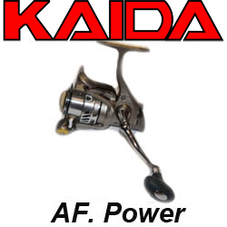 Kaida AF. Power