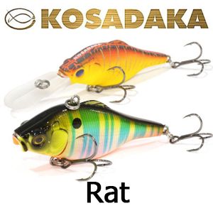 Kosadaka Rat
