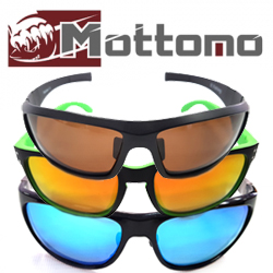 Mottomo