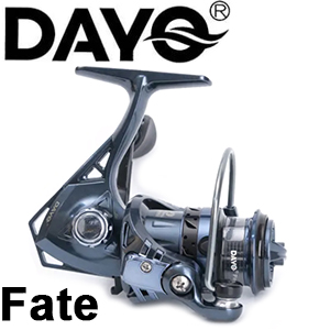 Dayo Fate
