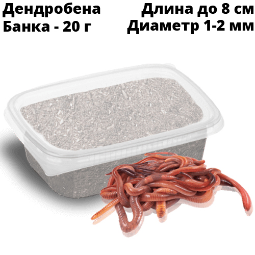 Червь Дендробена 20гр Мягкая пластиковая банка