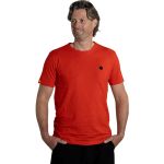Футболка Guru Semi Logo Tee Red р. M