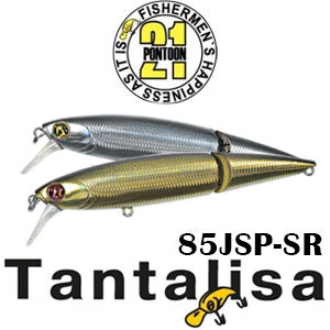 Pontoon21 Tantalisa 85JSP-SR 