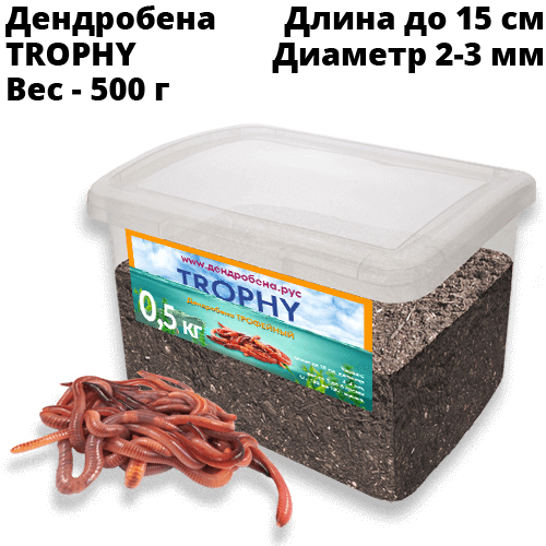 Червь Дендробена TROPHY 500 г