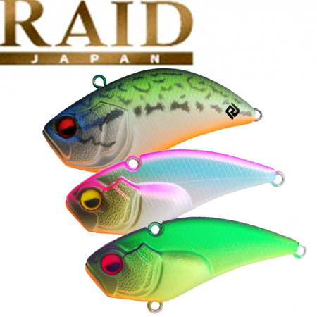 Raid