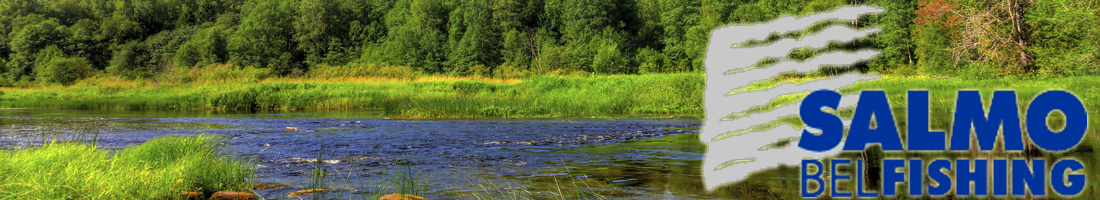 Бубенчики Salmo пара гроздь