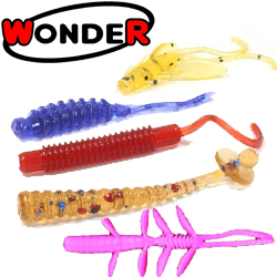 Wonder
