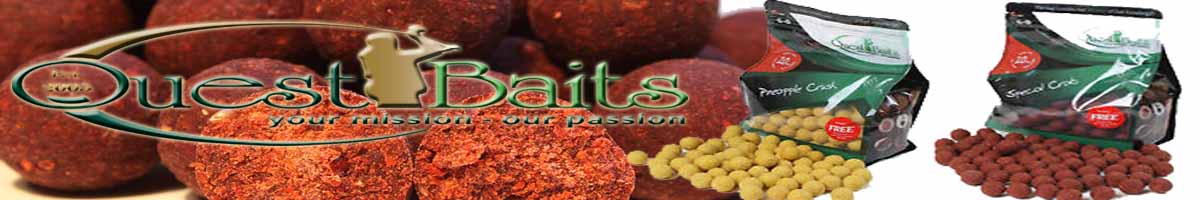 Quest Baits Бойли тонущие 20mm 800g 