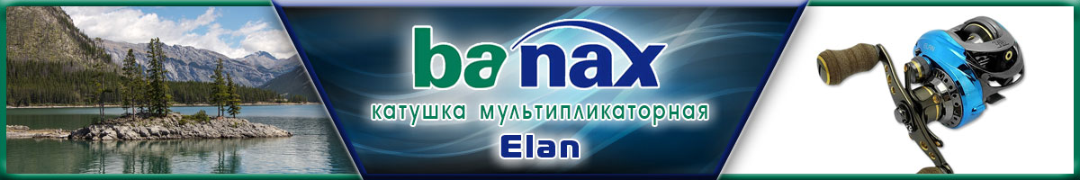 Banax Elan 