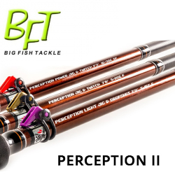 BFT Perception II