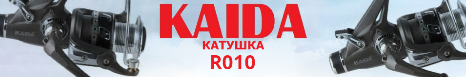 Kaida R010