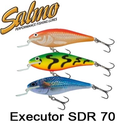 Salmo Executor SDR 70